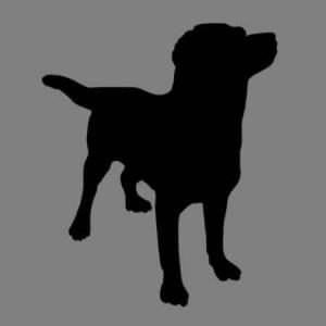 Wriggley – AKC's mother, a English Bulldog