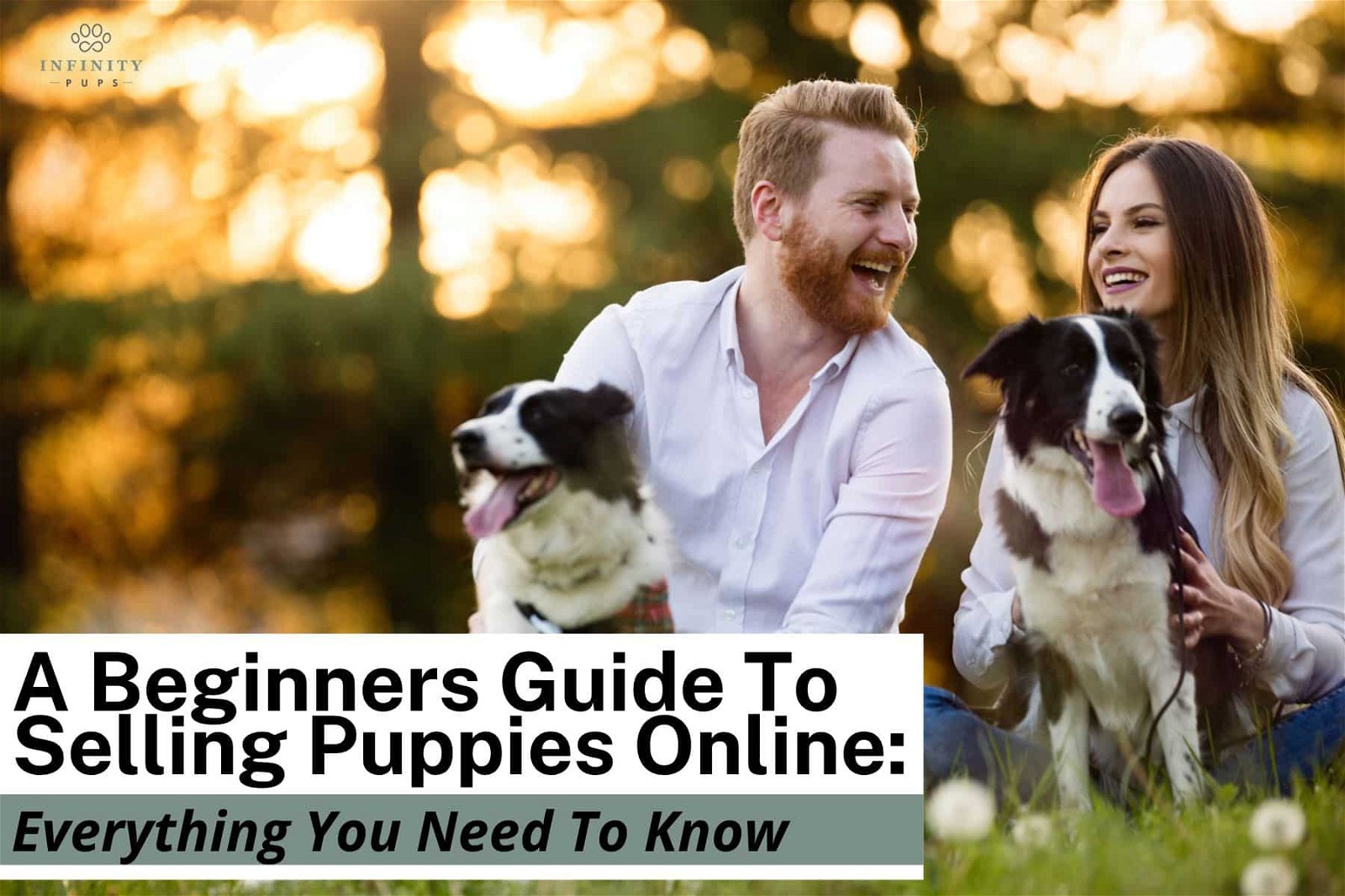 A Beginners Guide To Selling Puppies Online: Everything You Need To Know 2