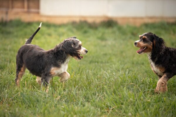 Kyla and Cocoa