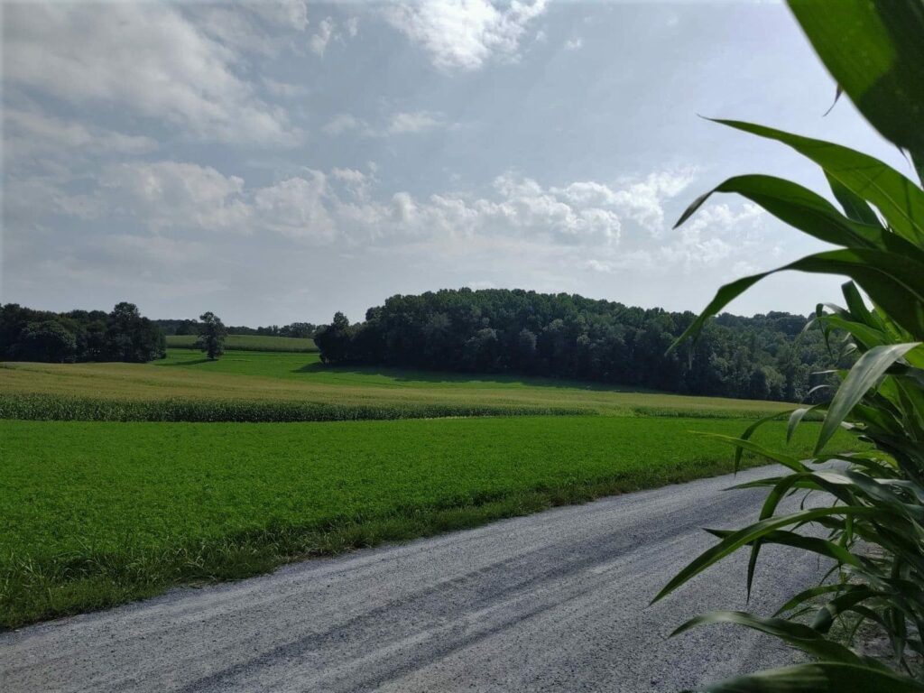 Rolling farmland